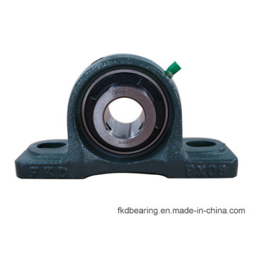 30mm Pillow Block Bearing Ucpx06 Bearing